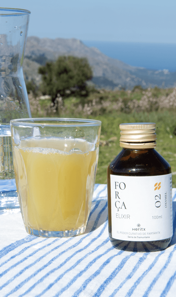 FORÇA-ELIXIER - heritx