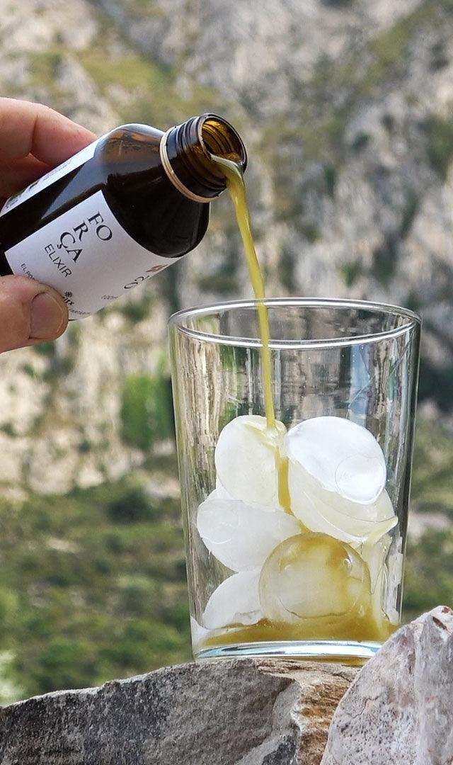 FORÇA-ELIXIER - heritx